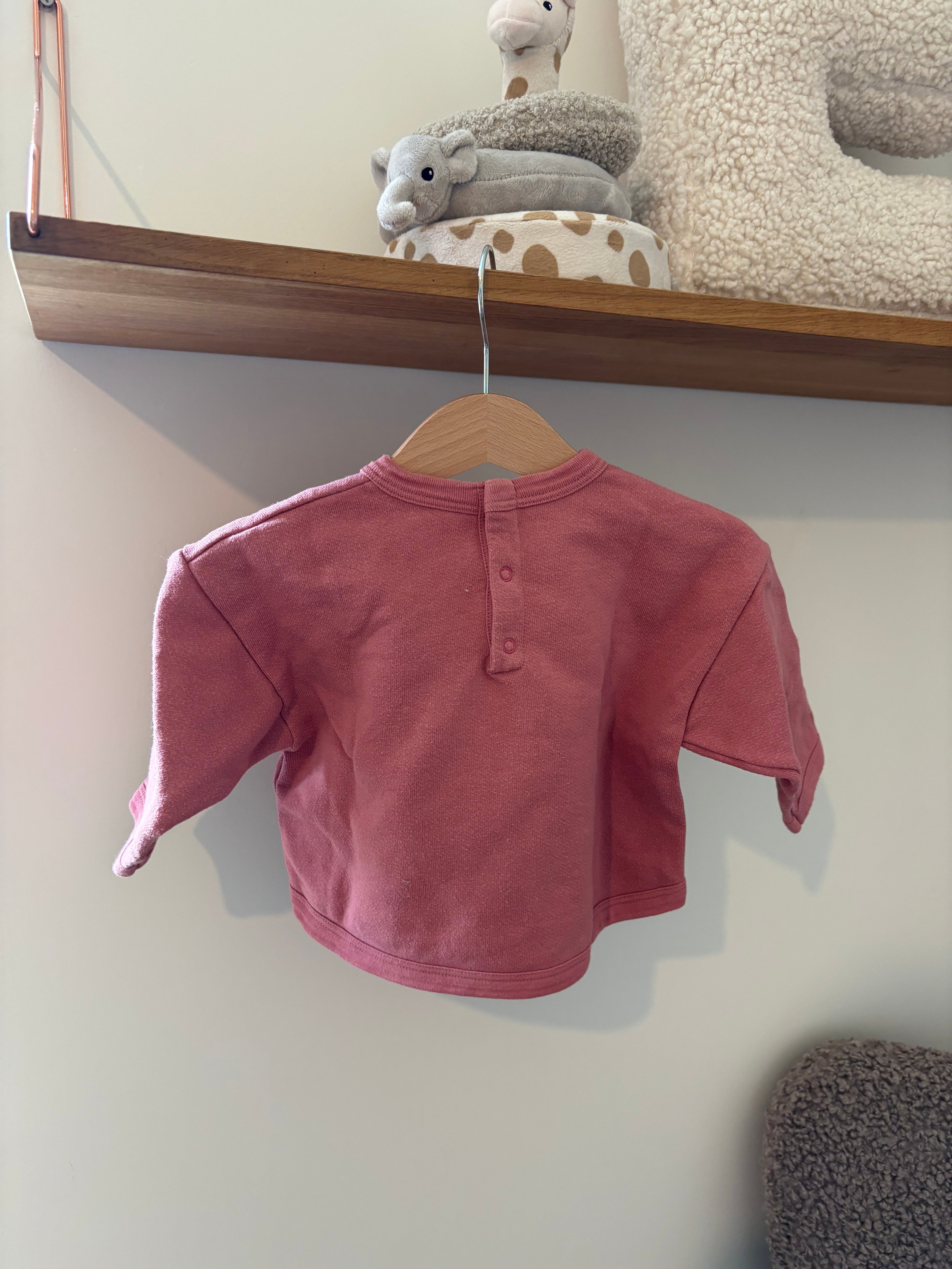Petit Bateau- Roze Trui - 74 Petit Bateau