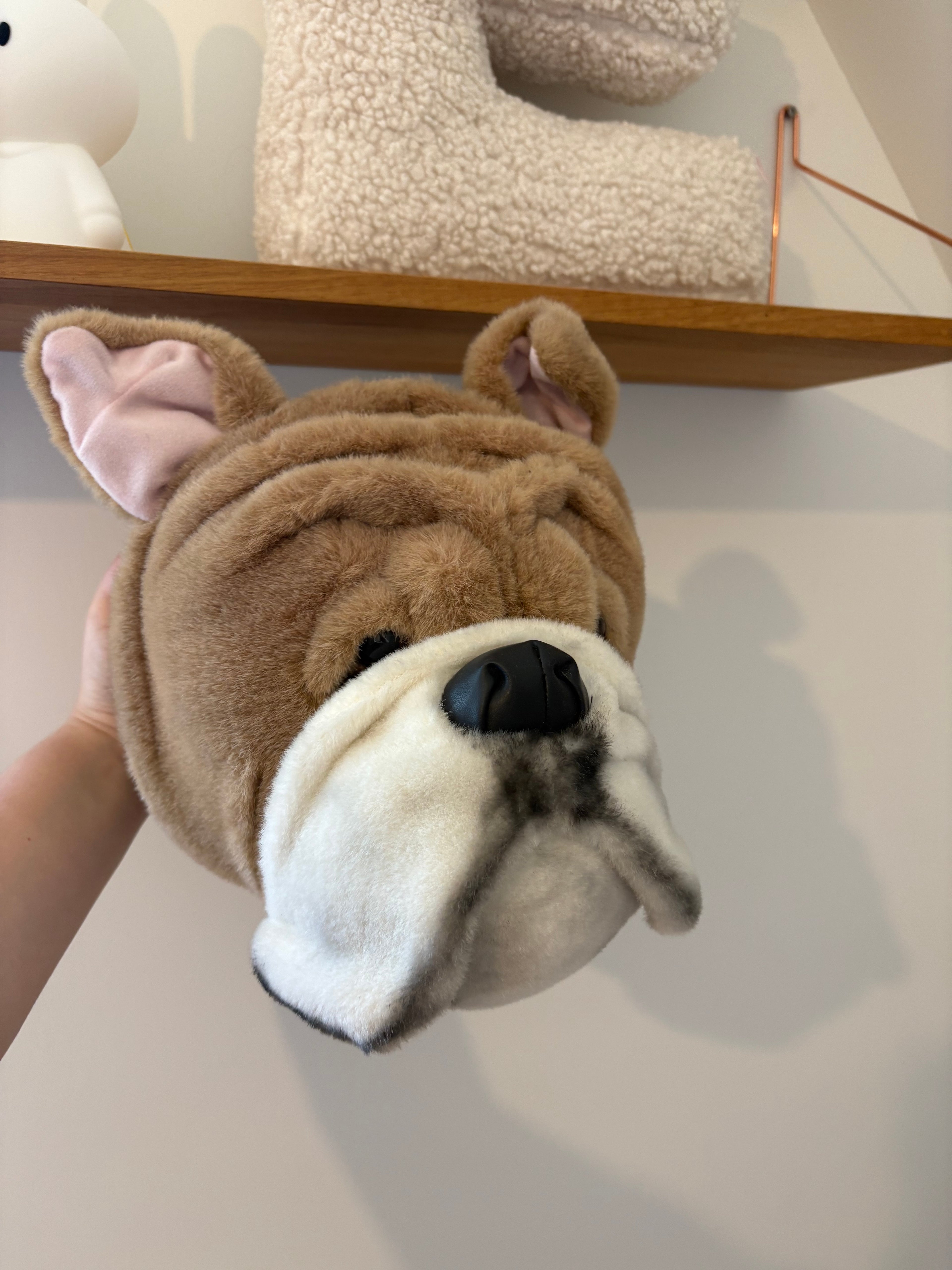 decoratie hond
