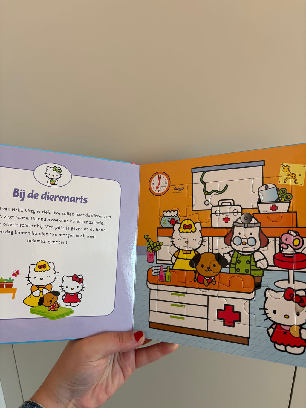 hello kitty boekje