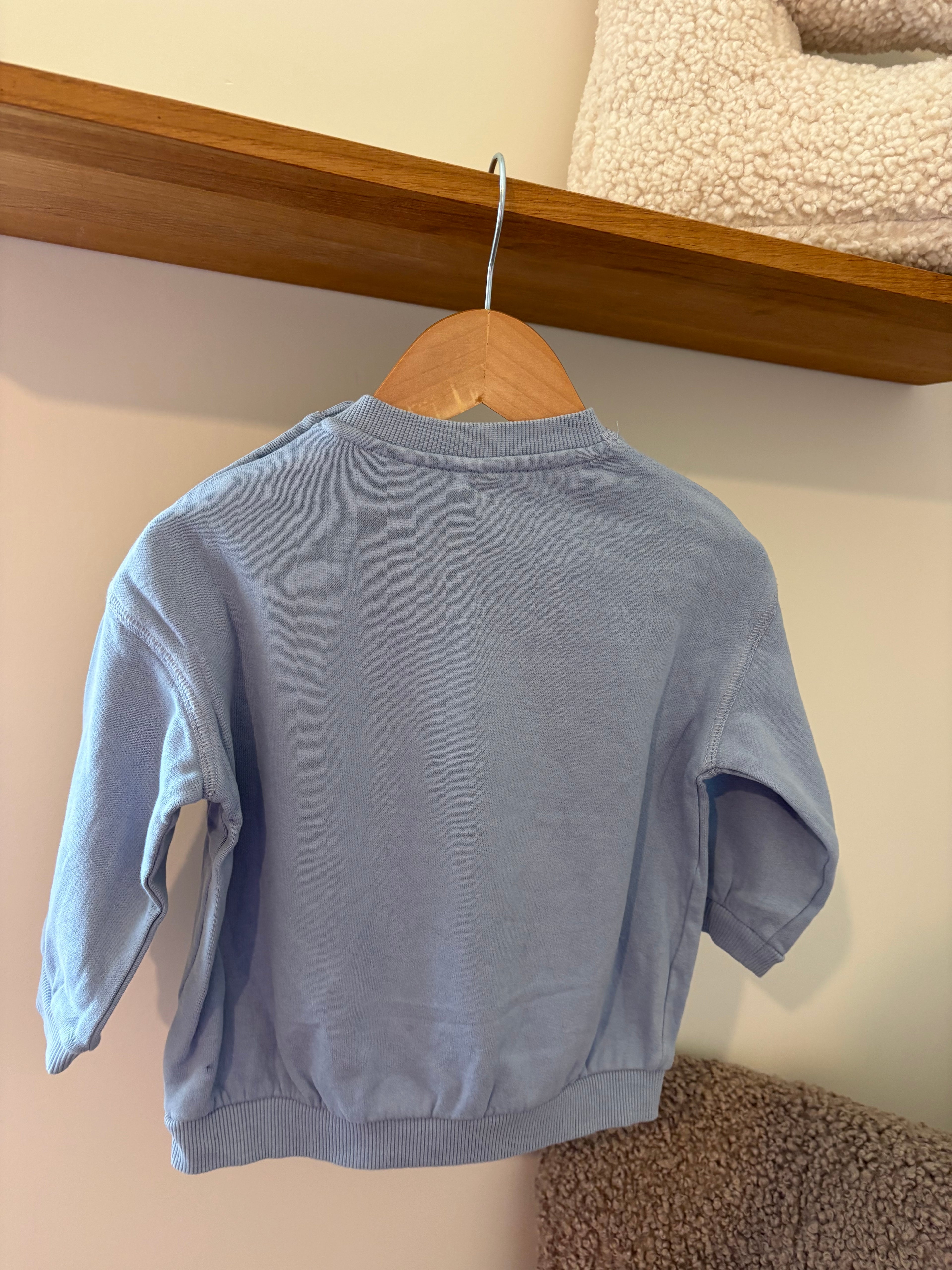 H&M - trui vogel - 18M