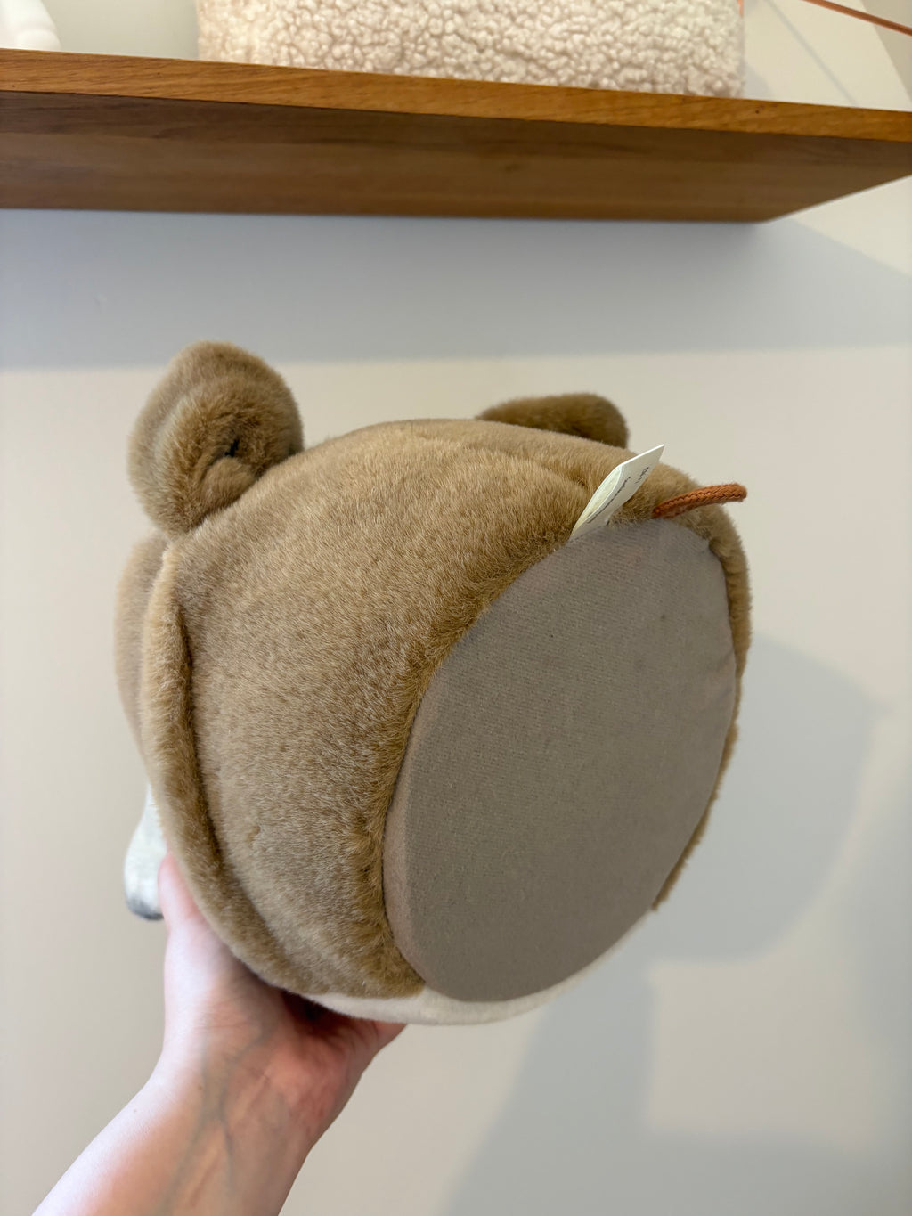 decoratie hond